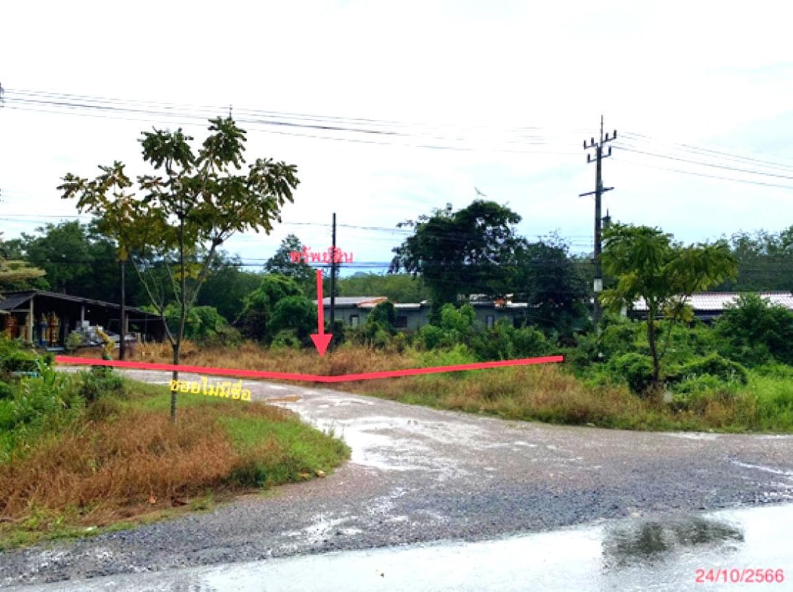 ขายที่ดิน แพรกหา ควนขนุน พัทลุง ขนาด 64 ตร.ว. ทำเลศักยภาพ