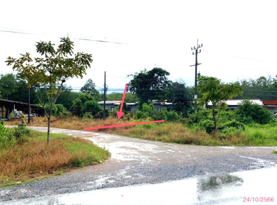 ขายที่ดิน แพรกหา ควนขนุน พัทลุง ขนาด 64 ตร.ว. ทำเลศักยภาพ