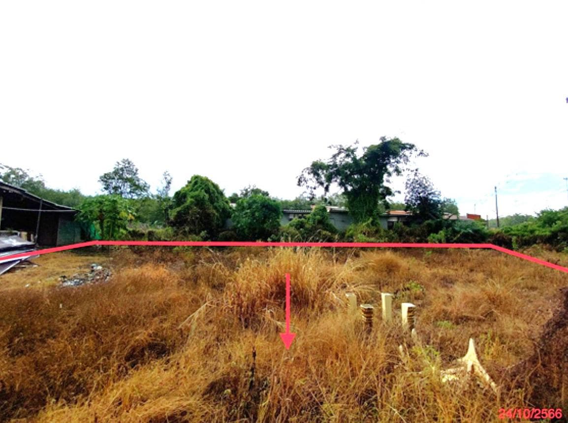 ขายที่ดิน แพรกหา ควนขนุน พัทลุง ขนาด 64 ตร.ว. ทำเลศักยภาพ