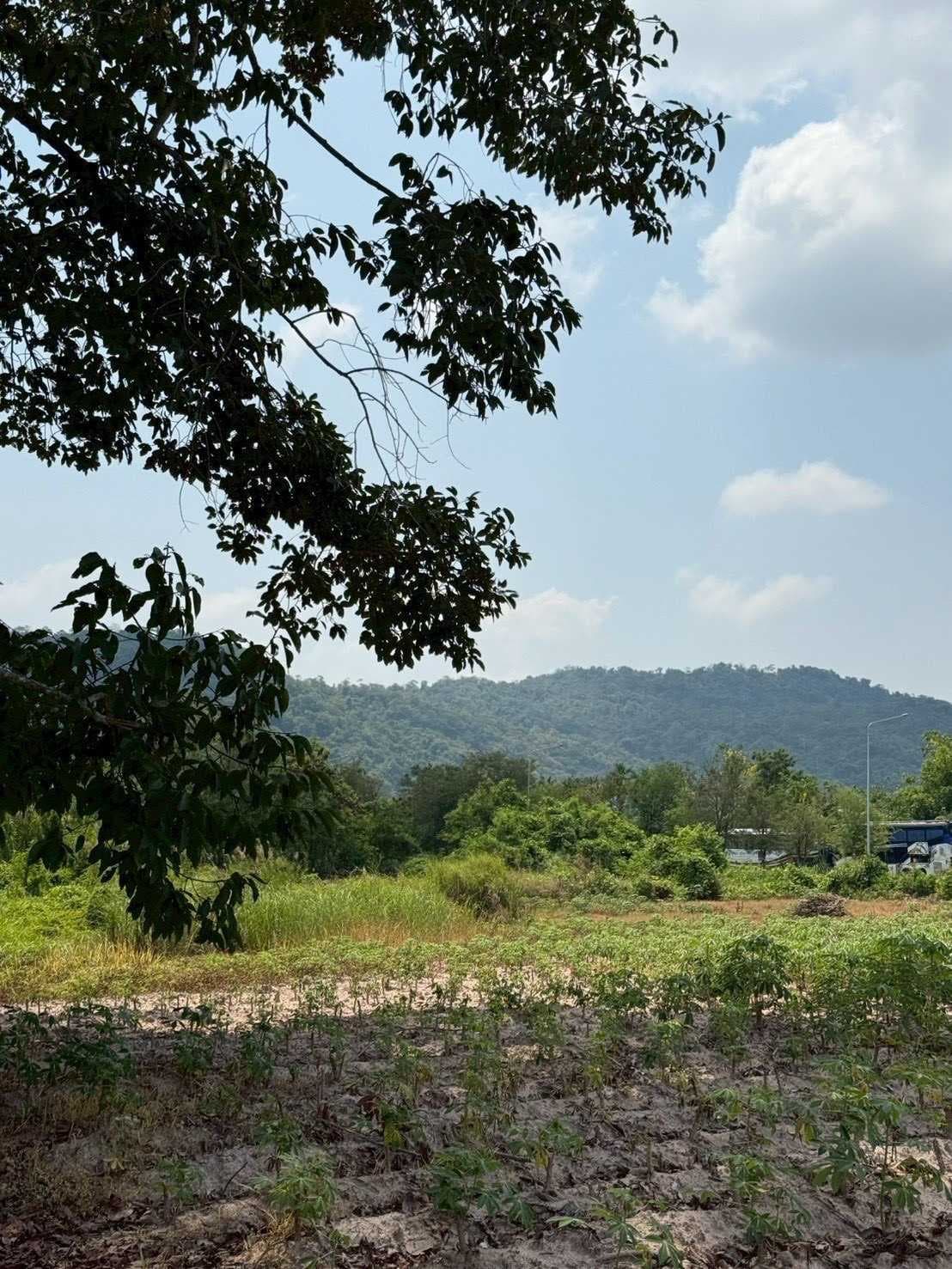 ขายที่ดินเพื่อการลงทุน 44-0-24 ไร่ ผังเมืองสีม่วงลาย ตำบลมะขามคู่ อำเภอนิคมพัฒนา จังหวัดระยอง ใกล้นิคมอุตสาหกรรม WHA ระยอง