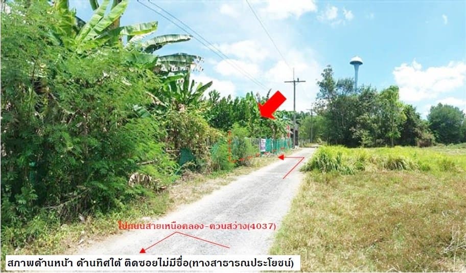 ที่ดินว่างเปล่า เขาพนม-กระบี่