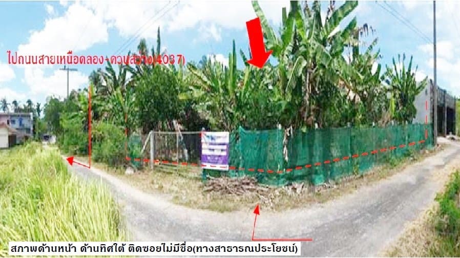 ที่ดินว่างเปล่า เขาพนม-กระบี่