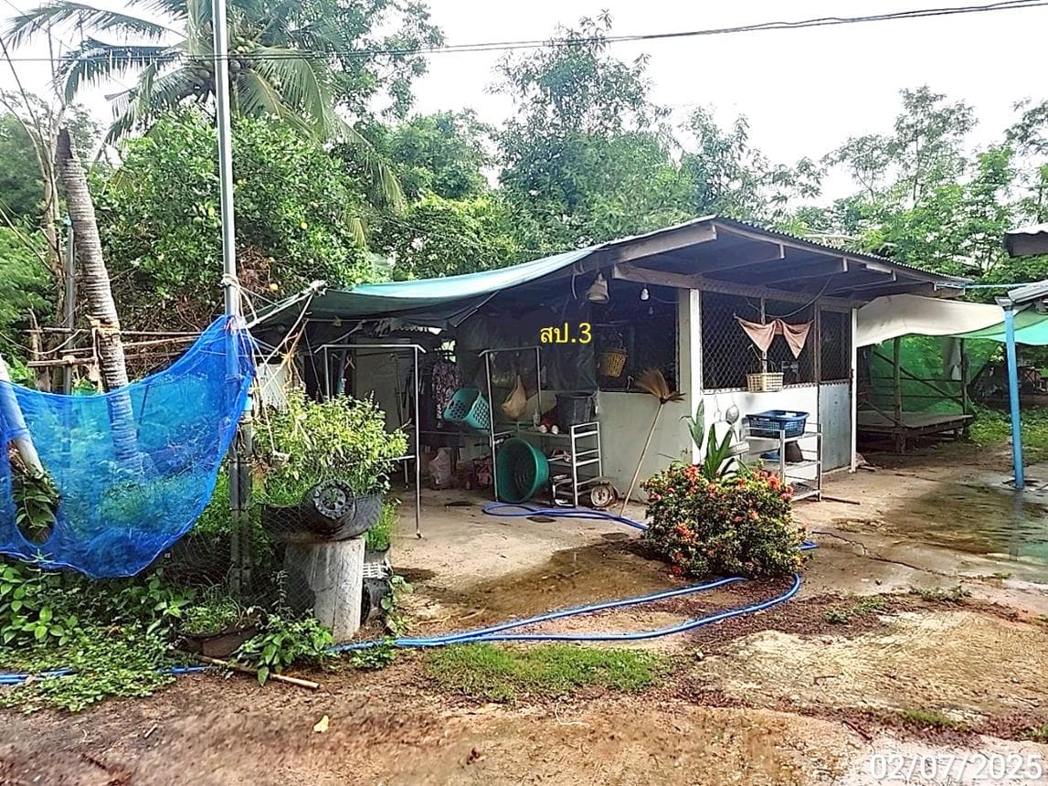 ขายบ้านเดี่ยว 2 ห้องนอน พื้นที่กว้าง 67 ตร.ว. ทำเลชมสะอาด เมยวดี ร้อยเอ็ด ราคาถูกมากเพียง 6.9 แสนบาท