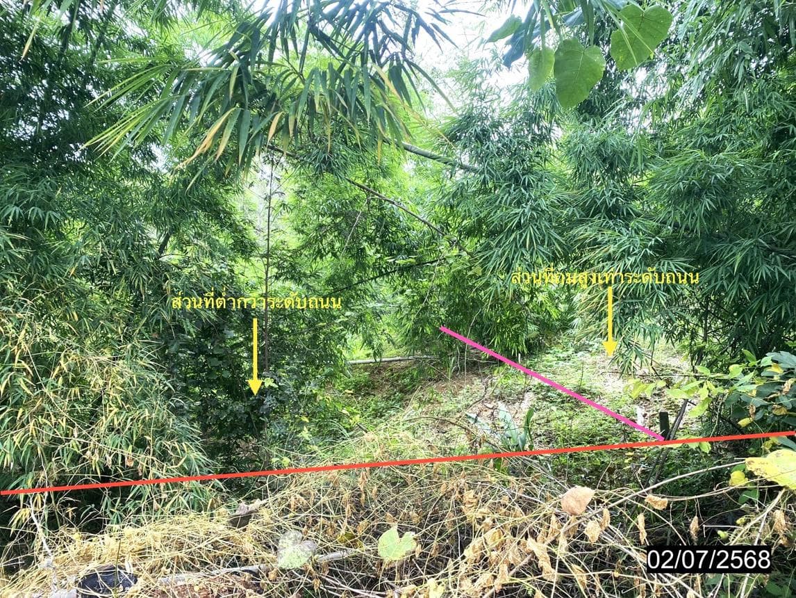ที่ดินทำเลทอง สะเดียง เมืองเพชรบูรณ์ 79.8 ตร.ว. ทำเลใจกลางเมือง เหมาะสร้างบ้านหรือลงทุน