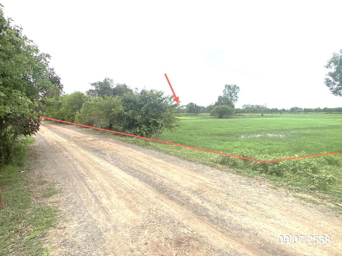 ขายที่ดินเปล่า เกษตรวิสัย เกษตรวิสัย ร้อยเอ็ด พื้นที่ 35 ตร.ว.
