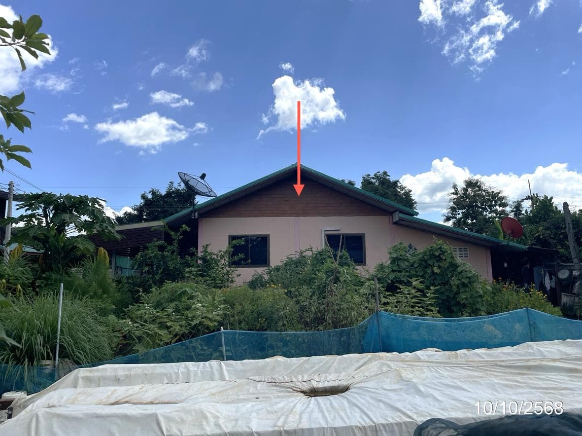 ขายบ้านเดี่ยว บ่อไทย หนองไผ่ เพชรบูรณ์ 2 ห้องนอน สเปซ 128 ตร.ม. ทำเลสงบราคาล้านต้นๆ