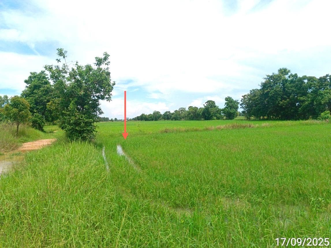 ที่ดิน ทำเลศักยภาพ วังทองแดง เมืองสุโขทัย สุโขทัย