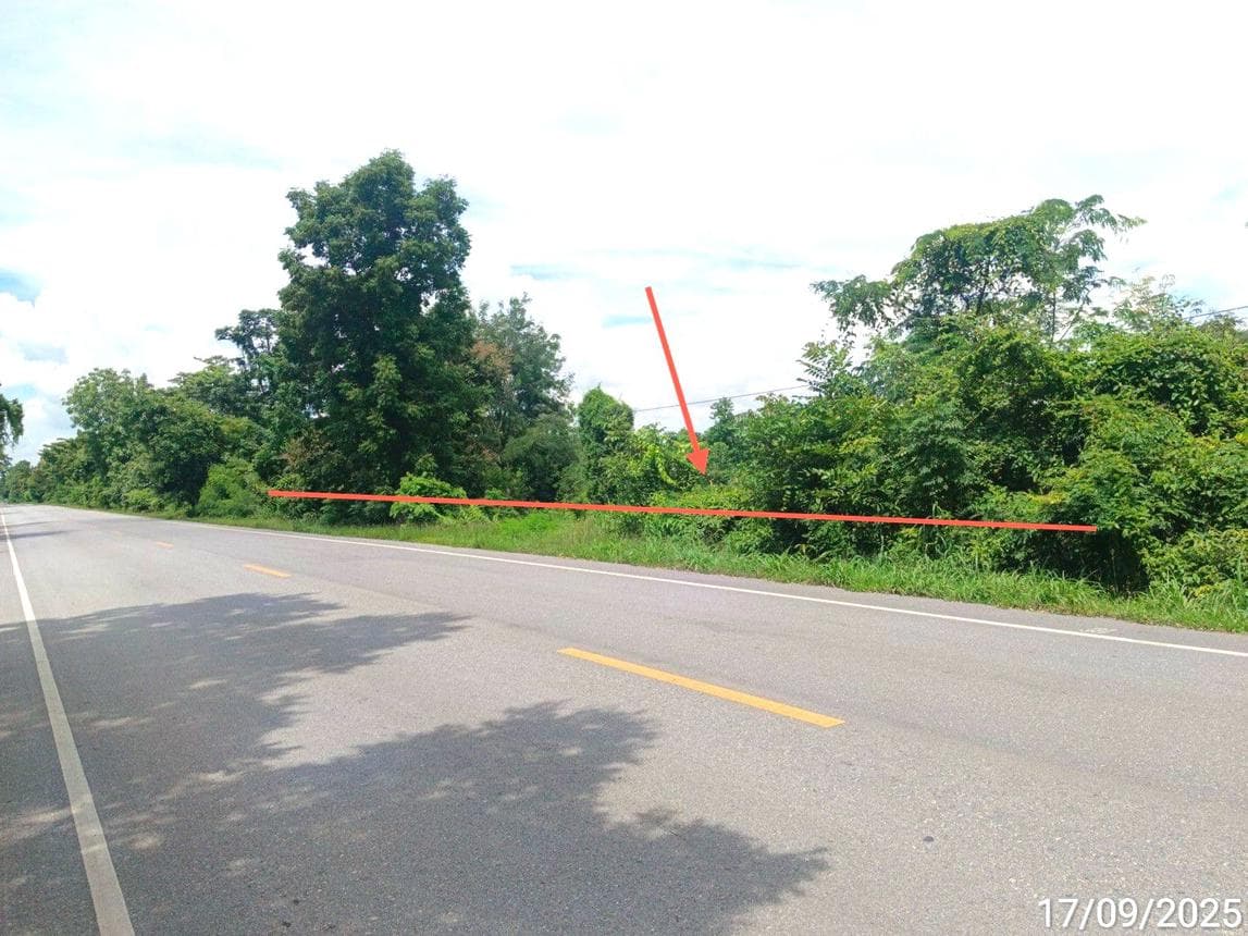 ที่ดิน ทำเลศักยภาพ วังทองแดง เมืองสุโขทัย สุโขทัย