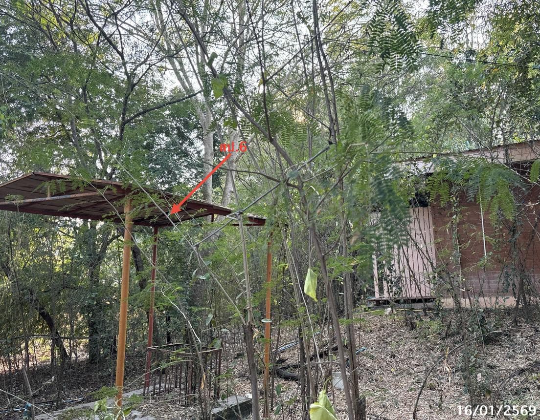 บ้านเดี่ยว 8 ห้องนอน พื้นที่ 127.61 ตร.ม. ทำเลศักยภาพ พุคา บ้านหมี่ ลพบุรี