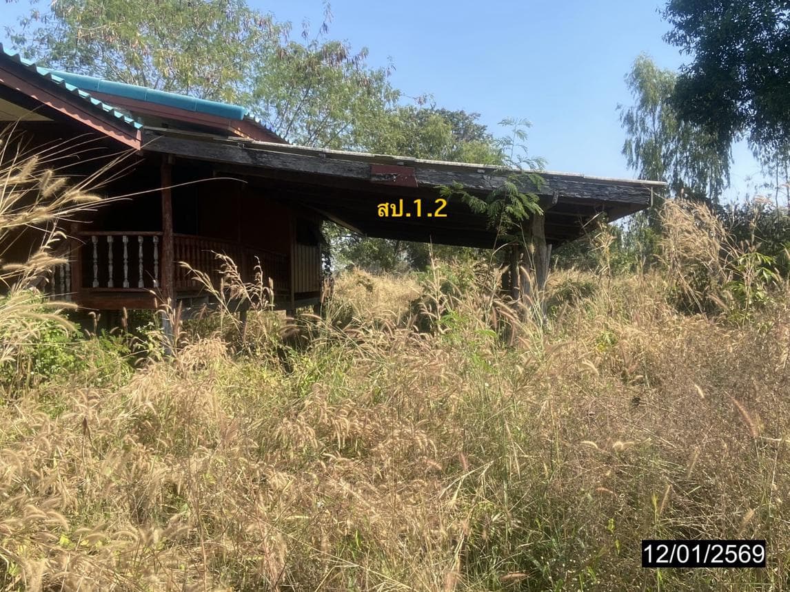 ขายบ้านเดี่ยว บ้านผือ อุดรธานี ทำเลหายโศก พื้นที่ใช้สอย 282 ตร.ม. 3 ห้องนอน 2 ห้องน้ำ สภาพดี พร้อมอยู่