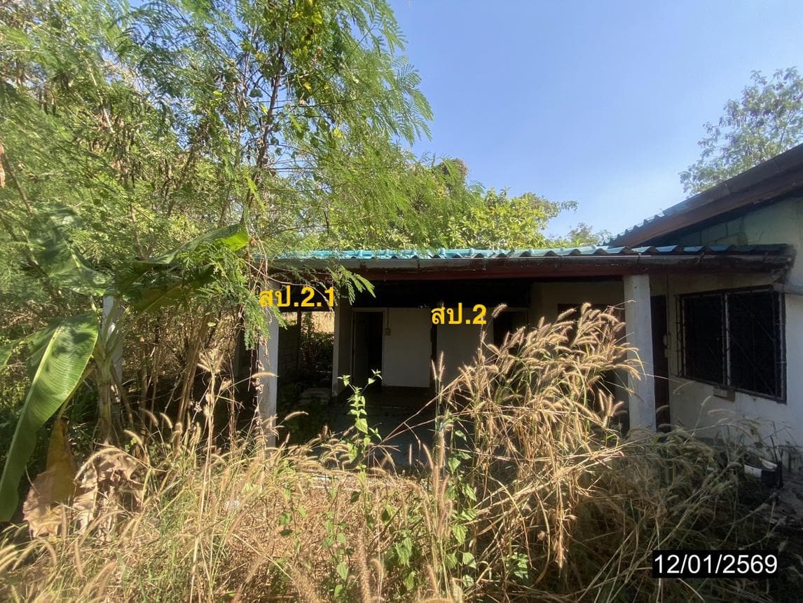 ขายบ้านเดี่ยว บ้านผือ อุดรธานี ทำเลหายโศก พื้นที่ใช้สอย 282 ตร.ม. 3 ห้องนอน 2 ห้องน้ำ สภาพดี พร้อมอยู่