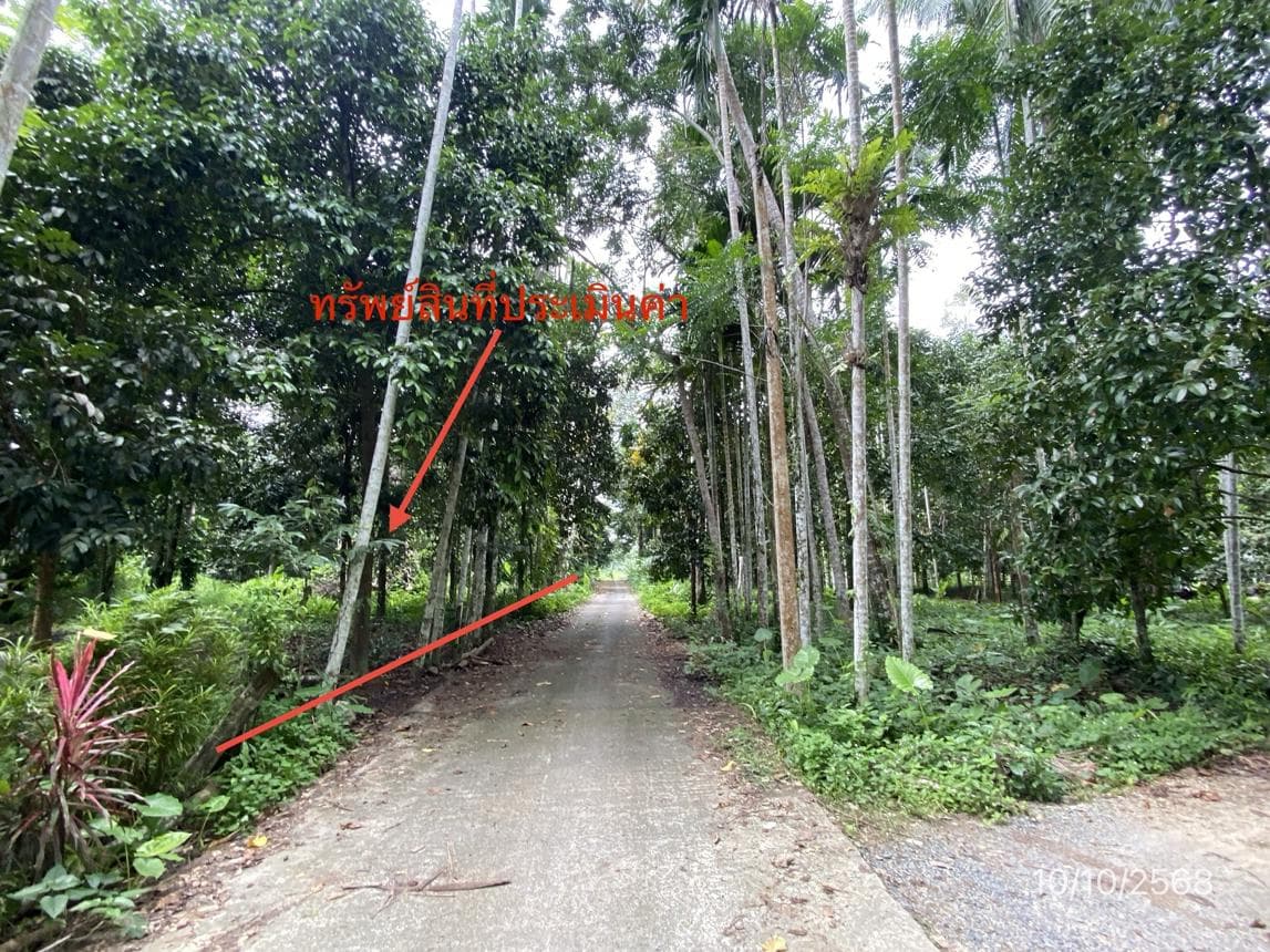 ขายที่ดินเปล่า 90.8 ตร.ว. ทำเลศักยภาพ ย่านจันดี ฉวาง นครศรีธรรมราช เหมาะสำหรับสร้างบ้านพักอาศัยหรือลงทุน
