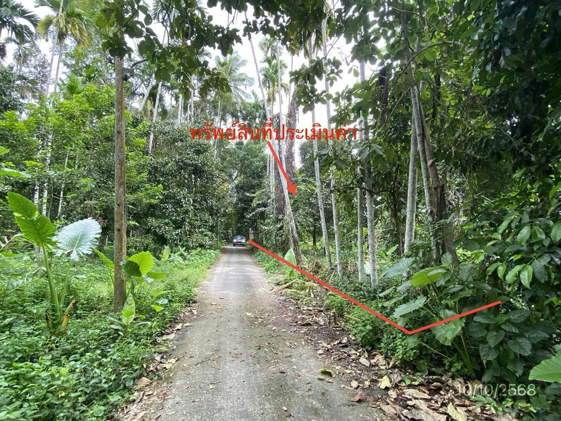 ขายที่ดินเปล่า 90.8 ตร.ว. ทำเลศักยภาพ ย่านจันดี ฉวาง นครศรีธรรมราช เหมาะสำหรับสร้างบ้านพักอาศัยหรือลงทุน