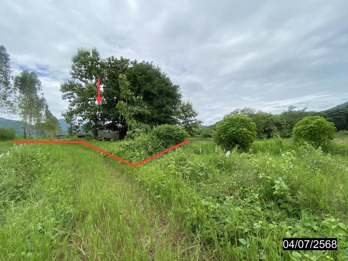 ที่ดินว่างเปล่า เนื้อที่ 79.1 ตร.ว. ทำเลศักยภาพ อาฮี ท่าลี่ เลย