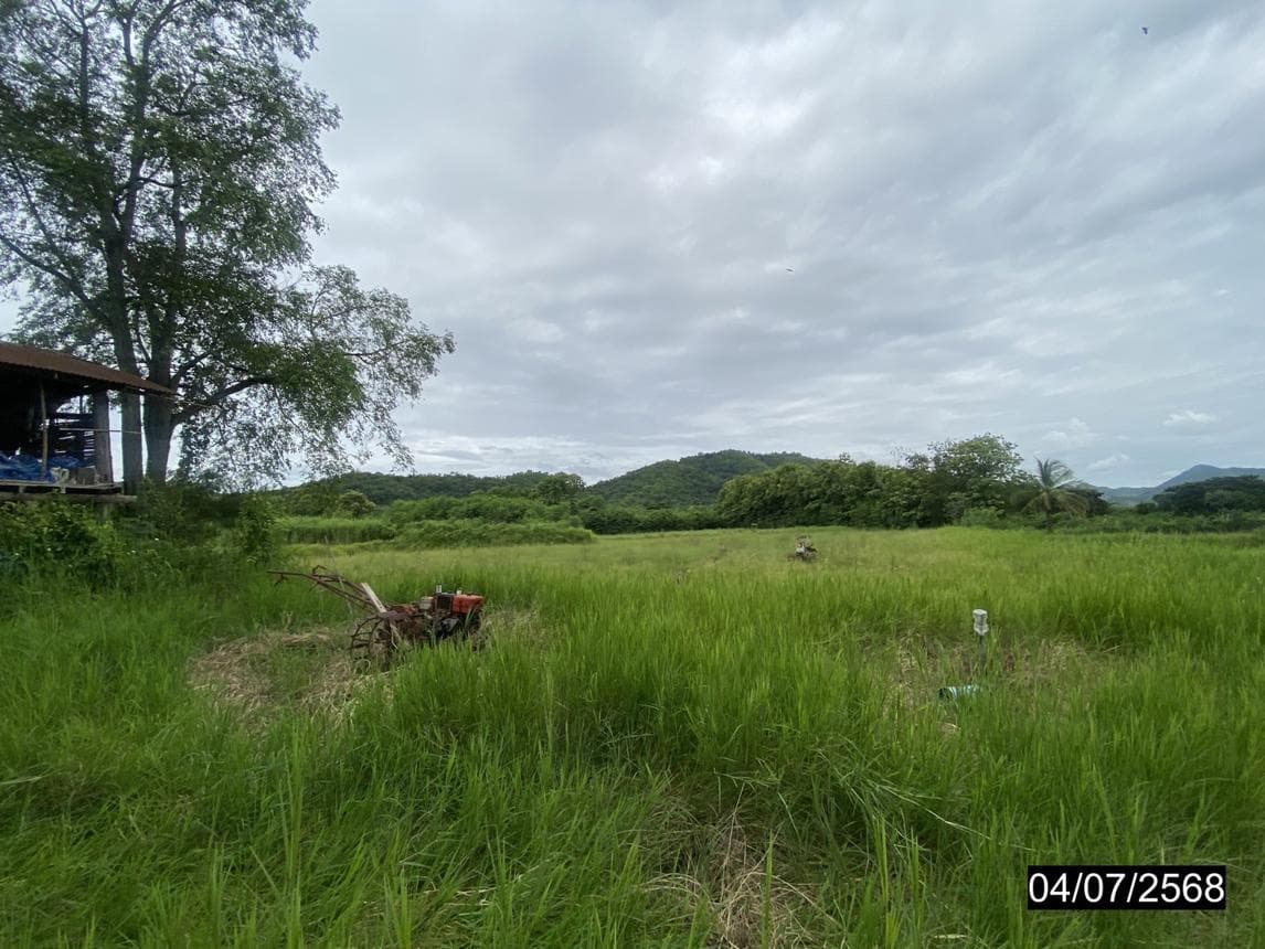 ที่ดินว่างเปล่า เนื้อที่ 79.1 ตร.ว. ทำเลศักยภาพ อาฮี ท่าลี่ เลย