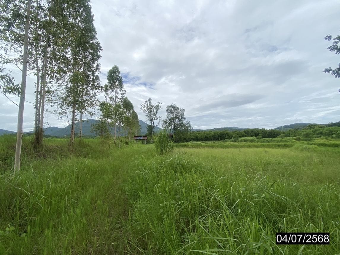 ที่ดินว่างเปล่า เนื้อที่ 79.1 ตร.ว. ทำเลศักยภาพ อาฮี ท่าลี่ เลย