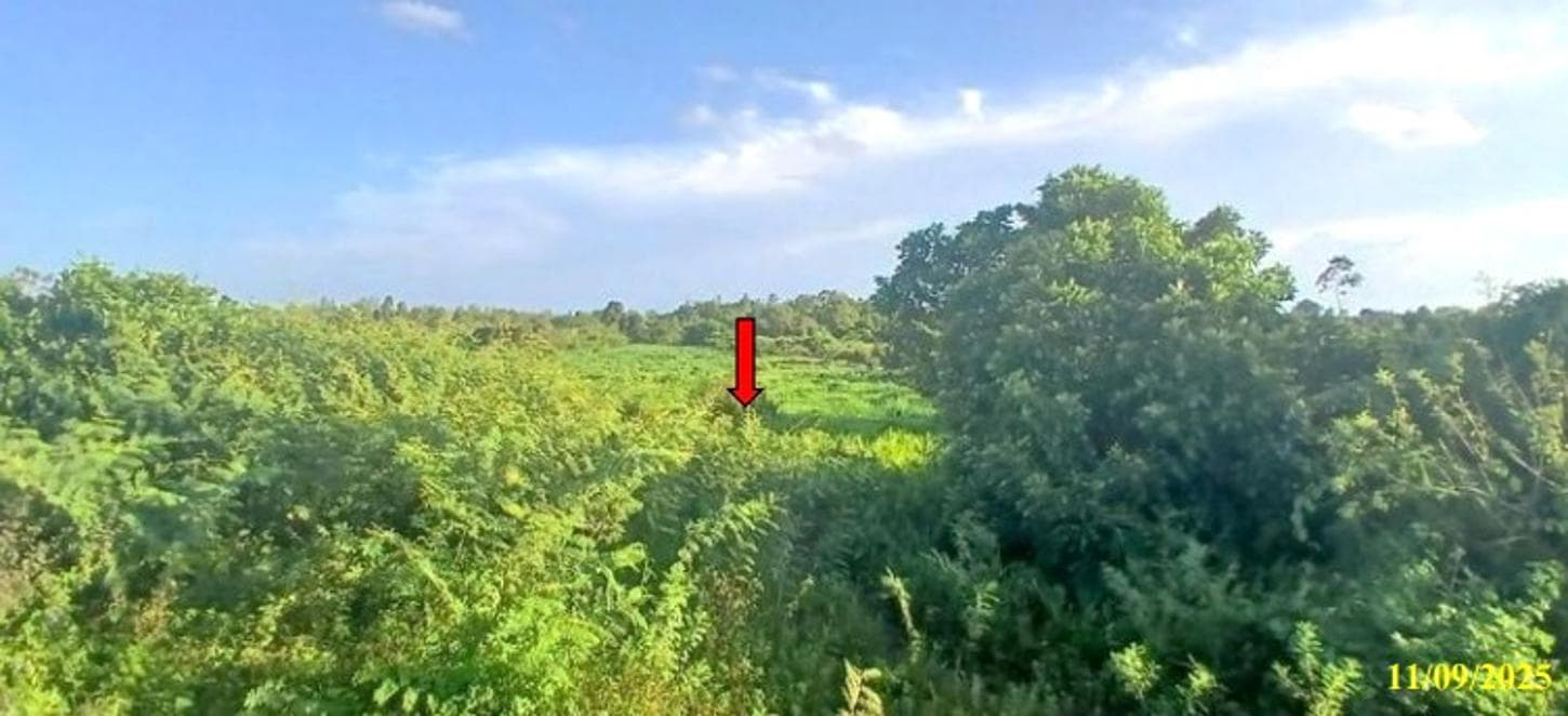 ที่ดินเปล่า 26 ตร.ว. ทำเลทองซอยประชาวิวัฒน์ 14 ใจกลางเมืองสุไหงโก-ลก นราธิวาส
