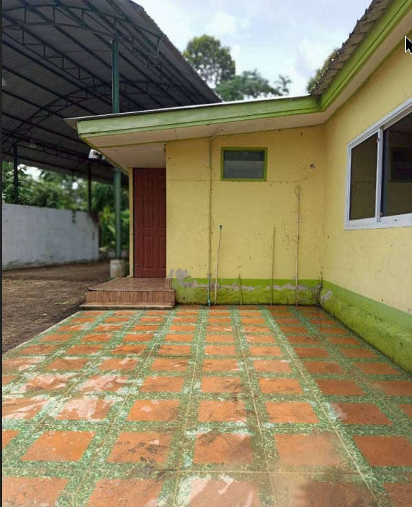 ที่ดินพร้อมสิ่งปลูกสร้าง บ้านตาขุน สุราษฎร์ธานี