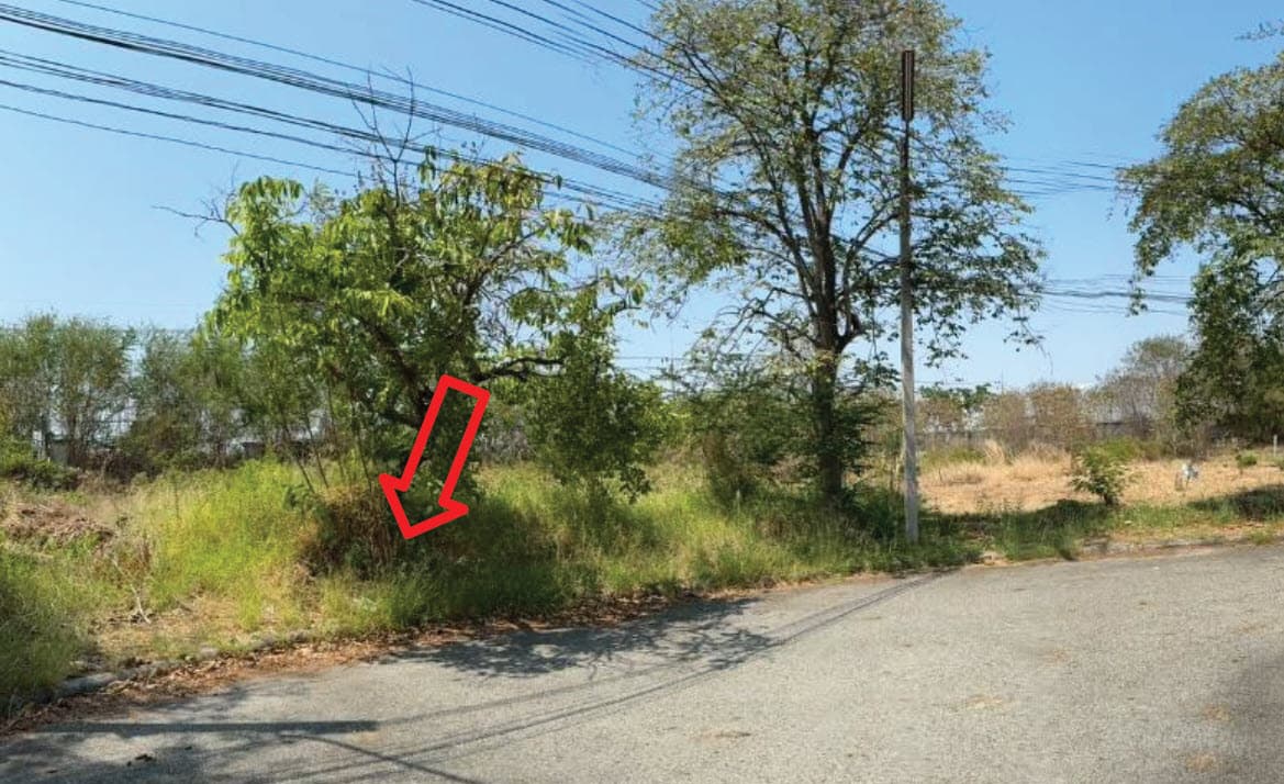 ที่ดินเปล่า บางปะกง ฉะเชิงเทรา