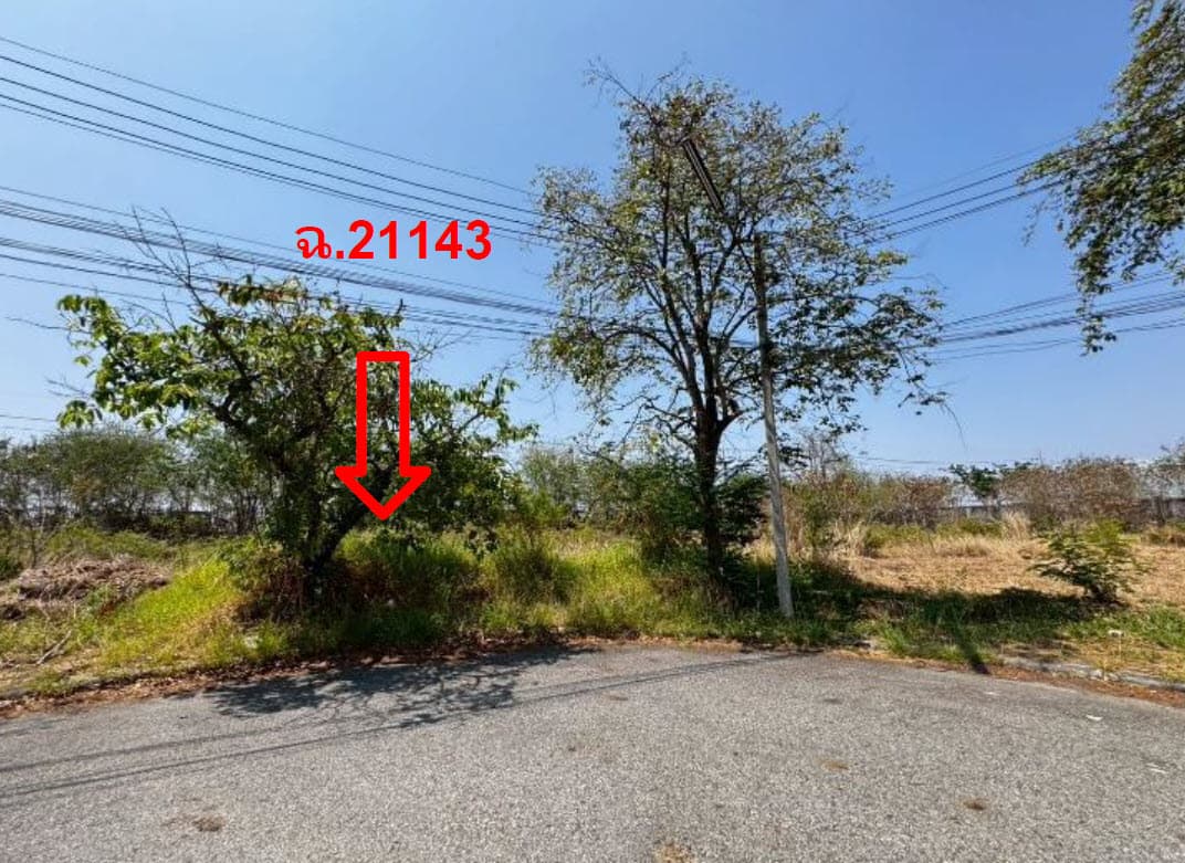 ที่ดินเปล่า บางปะกง ฉะเชิงเทรา
