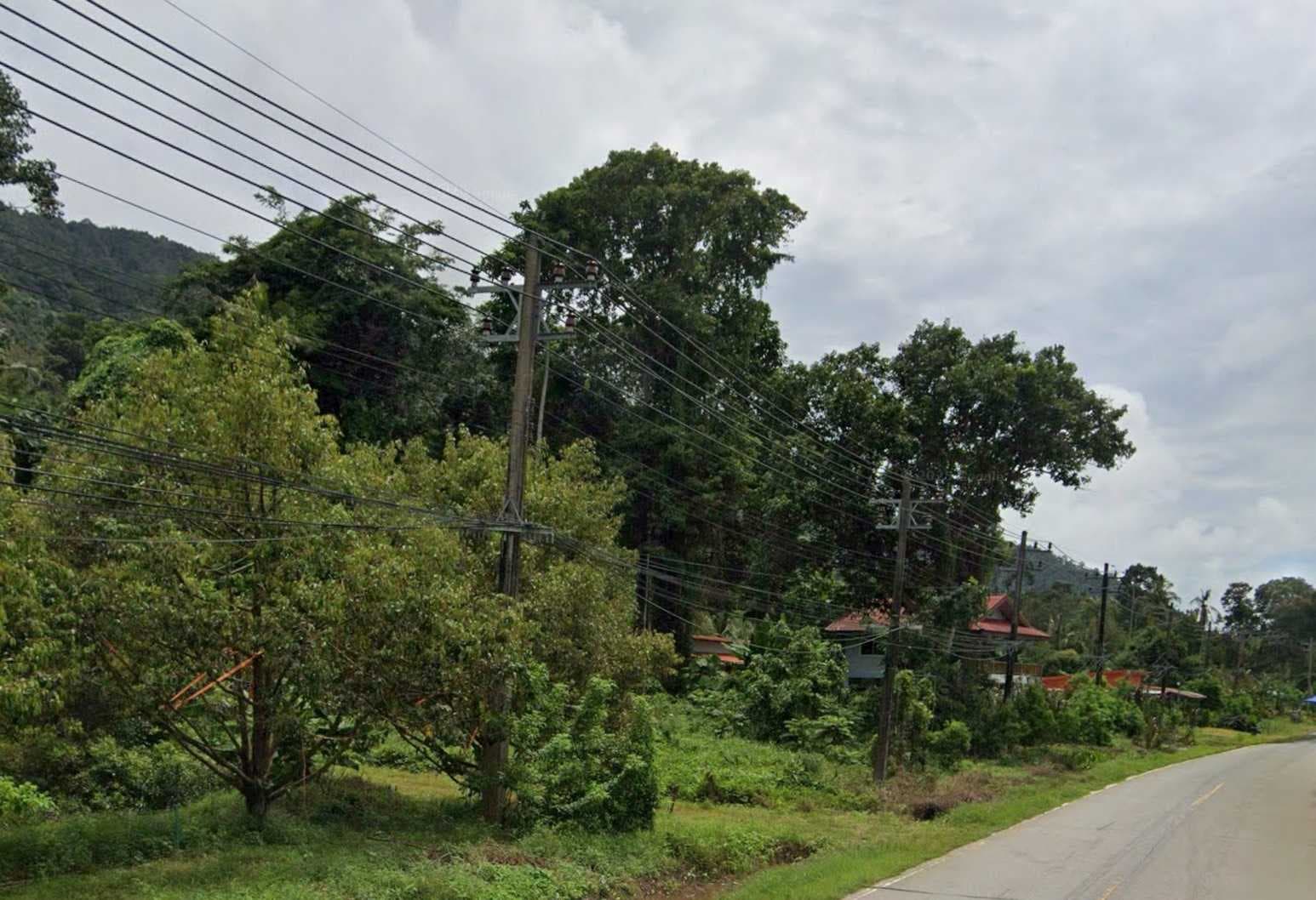 ขายที่ดิน แปลงสวย อ.เกาะช้าง จ.ตราด ขนาด 1-0-42 ไร่ ใกล้ท่าเทียบเรือเกาะช้าง