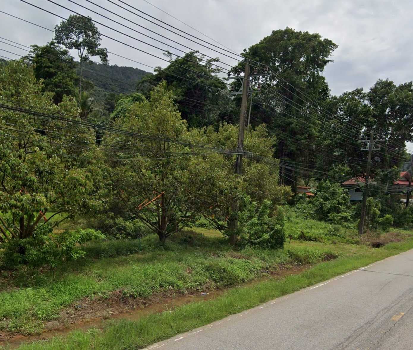 ขายที่ดิน แปลงสวย อ.เกาะช้าง จ.ตราด ขนาด 1-0-42 ไร่ ใกล้ท่าเทียบเรือเกาะช้าง