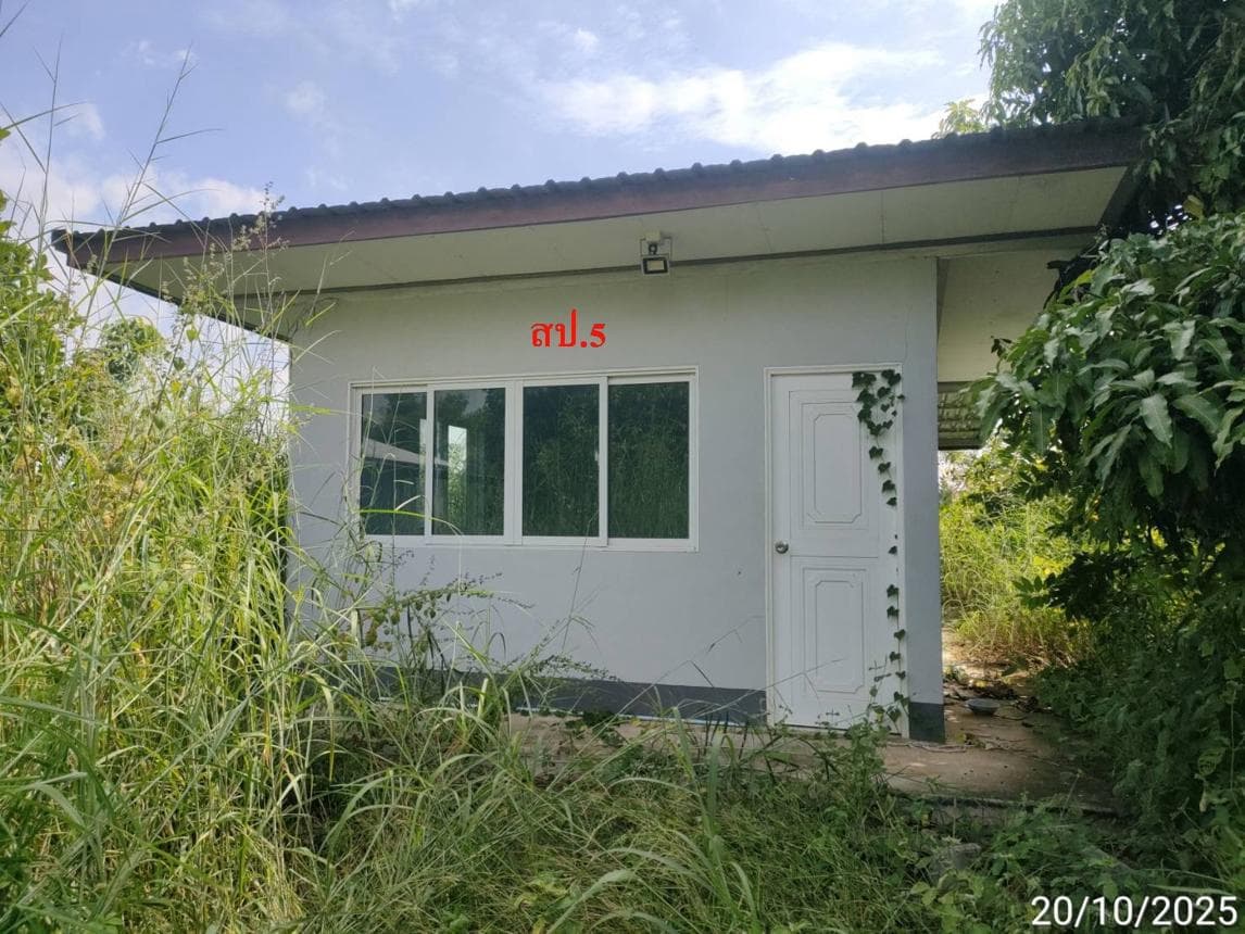 ขายโกดังขนาดใหญ่ พื้นที่ใช้สอย 392 ตร.ม. บนเนื้อที่ 59 ตร.ว. ทำเลศักยภาพ ต.ราษฎร์พัฒนา อ.พยัคฆภูมิพิสัย จ.มหาสารคาม เหมาะสำหรับคลังสินค้าและโรงงาน