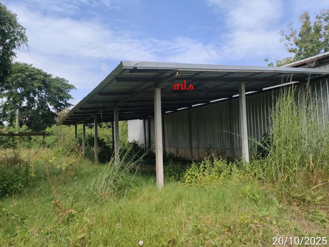 ขายโกดังขนาดใหญ่ พื้นที่ใช้สอย 392 ตร.ม. บนเนื้อที่ 59 ตร.ว. ทำเลศักยภาพ ต.ราษฎร์พัฒนา อ.พยัคฆภูมิพิสัย จ.มหาสารคาม เหมาะสำหรับคลังสินค้าและโรงงาน