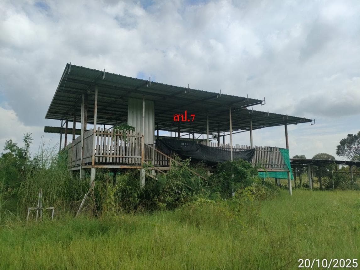 ขายโกดังขนาดใหญ่ พื้นที่ใช้สอย 392 ตร.ม. บนเนื้อที่ 59 ตร.ว. ทำเลศักยภาพ ต.ราษฎร์พัฒนา อ.พยัคฆภูมิพิสัย จ.มหาสารคาม เหมาะสำหรับคลังสินค้าและโรงงาน