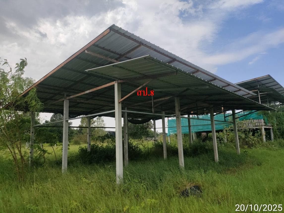 ขายโกดังขนาดใหญ่ พื้นที่ใช้สอย 392 ตร.ม. บนเนื้อที่ 59 ตร.ว. ทำเลศักยภาพ ต.ราษฎร์พัฒนา อ.พยัคฆภูมิพิสัย จ.มหาสารคาม เหมาะสำหรับคลังสินค้าและโรงงาน