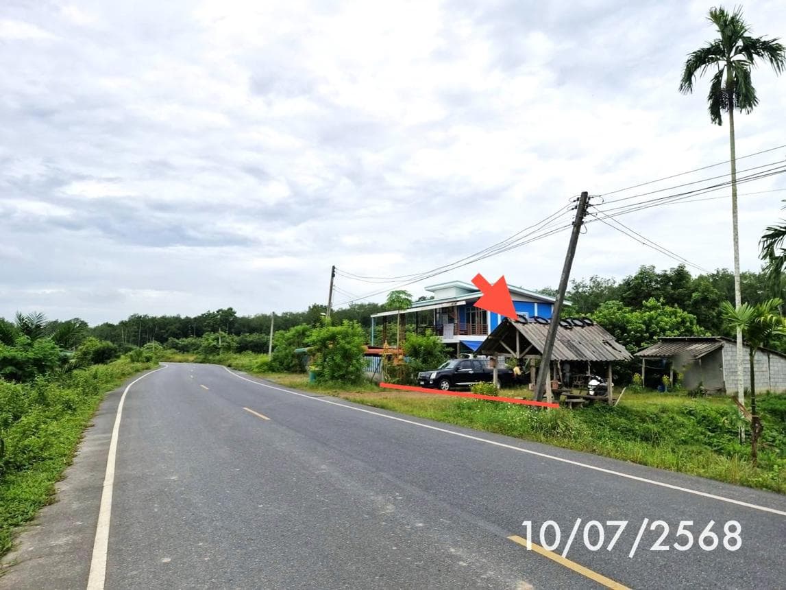 ขายบ้านเดี่ยว หลักช้าง ช้างกลาง นครศรีธรรมราช ที่ดินกว้าง 98.7 ตร.ว. ราคาไม่ถึงล้าน