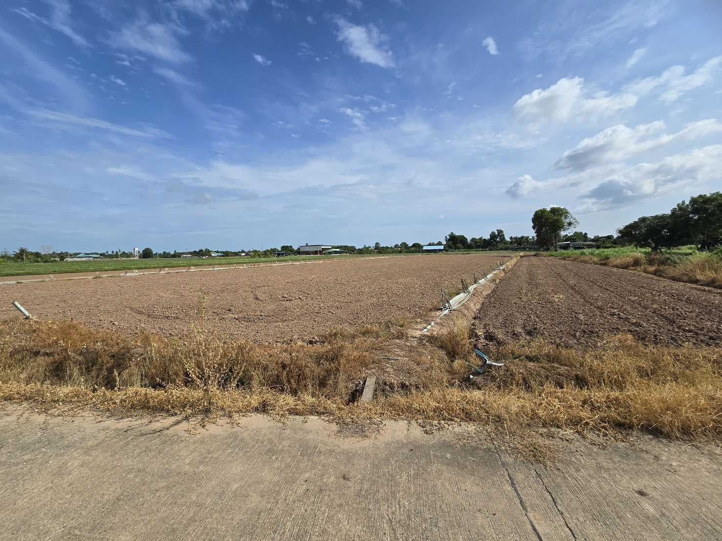 ที่ดินพร้อมพัฒนา น้ำ-ไฟเข้าถึง ทำเลดีในชุมชน