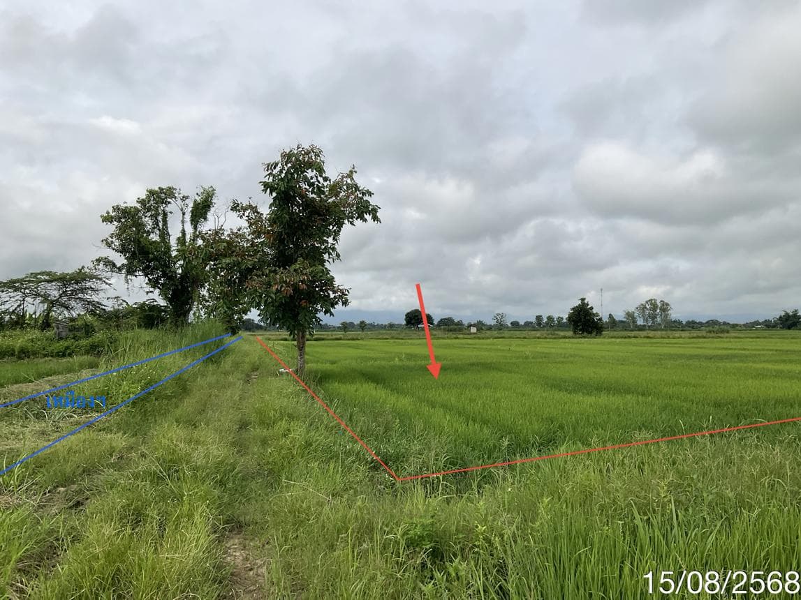 ขายที่ดินเปล่า จันจว้าใต้ แม่จัน เชียงราย บรรยากาศธรรมชาติ ทำเลศักยภาพ เหมาะสำหรับลงทุน