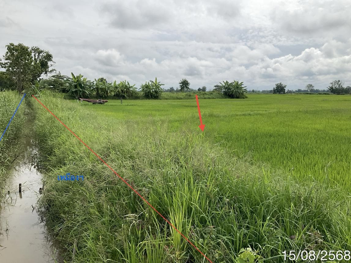 ขายที่ดินเปล่า จันจว้าใต้ แม่จัน เชียงราย บรรยากาศธรรมชาติ ทำเลศักยภาพ เหมาะสำหรับลงทุน