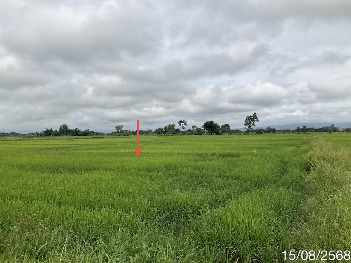 ขายที่ดินเปล่า จันจว้าใต้ แม่จัน เชียงราย บรรยากาศธรรมชาติ ทำเลศักยภาพ เหมาะสำหรับลงทุน