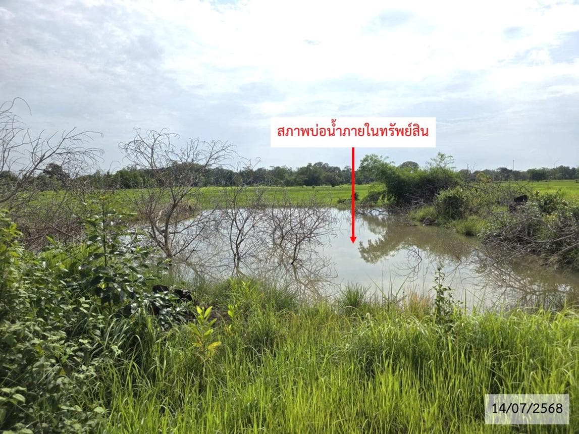 ขายที่ดินเปล่า ท่าลาด เรณูนคร นครพนม เนื้อที่ 71 ตร.ว. ทำเลสวยบรรยากาศดี เหมาะปั้นโฮมคาเฟ่หรือบ้านพักตากอากาศ