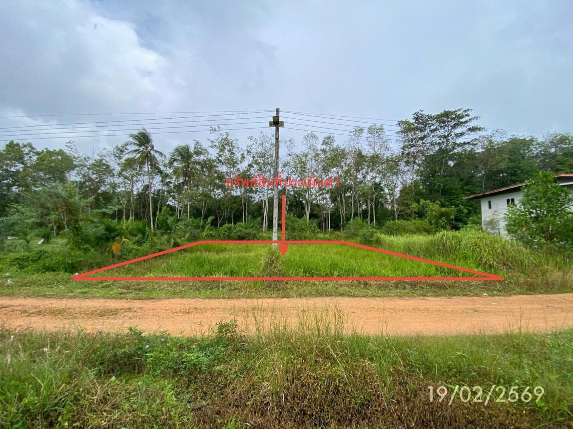 ขายที่ดินเปล่า 76.7 ตร.ว. ทำเลสงบ กำแพงเพชร รัตภูมิ สงขลา เหมาะสร้างบ้านและลงทุน