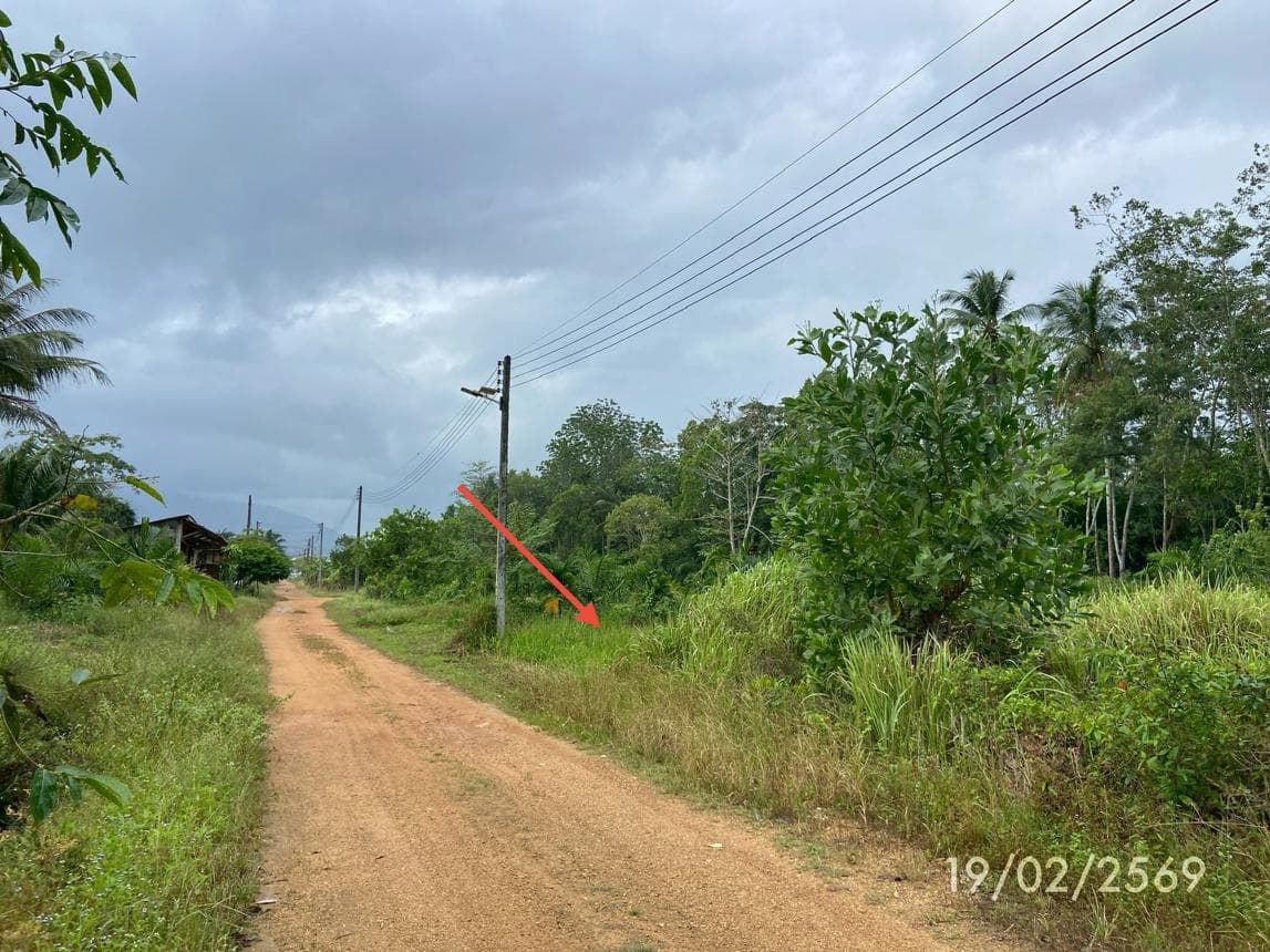 ขายที่ดินเปล่า 76.7 ตร.ว. ทำเลสงบ กำแพงเพชร รัตภูมิ สงขลา เหมาะสร้างบ้านและลงทุน