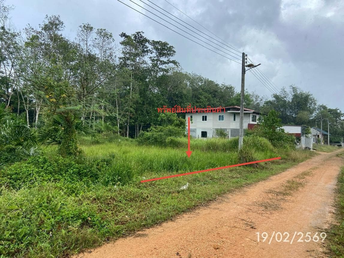 ขายที่ดินเปล่า 76.7 ตร.ว. ทำเลสงบ กำแพงเพชร รัตภูมิ สงขลา เหมาะสร้างบ้านและลงทุน