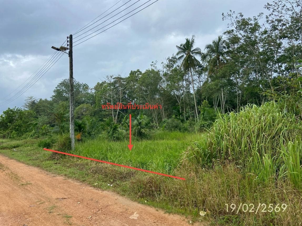 ขายที่ดินเปล่า 76.7 ตร.ว. ทำเลสงบ กำแพงเพชร รัตภูมิ สงขลา เหมาะสร้างบ้านและลงทุน
