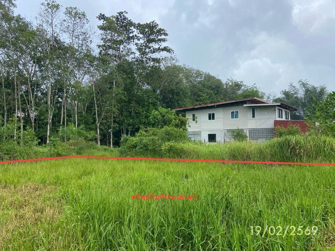 ขายที่ดินเปล่า 76.7 ตร.ว. ทำเลสงบ กำแพงเพชร รัตภูมิ สงขลา เหมาะสร้างบ้านและลงทุน