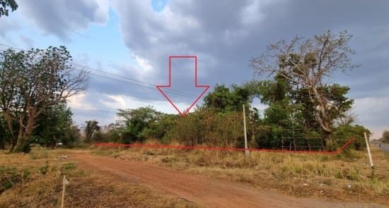 ที่ดินว่างเปล่า เมืองชัยภูมิ