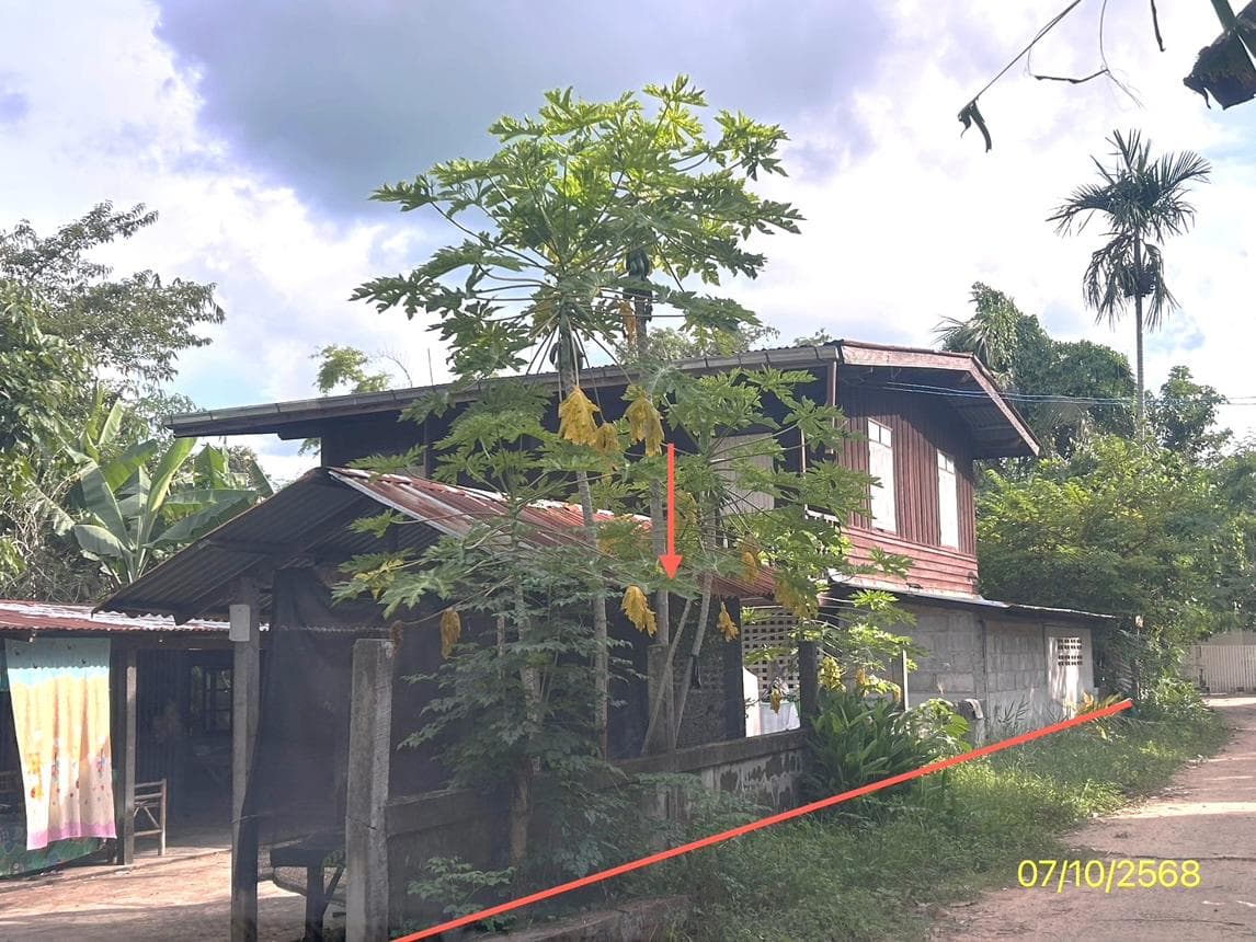 บ้านเดี่ยว ผือใหญ่ โพธิ์ศรีสุวรรณ ศรีสะเกษ 1 ห้องนอน พื้นที่ใช้สอย 142 ตร.ม. บนที่ดิน 8 ตร.ว. ทำเลสงบ เดินทางสะดวก ราคาคุ้มค่าเพียง 1.01 ล้าน