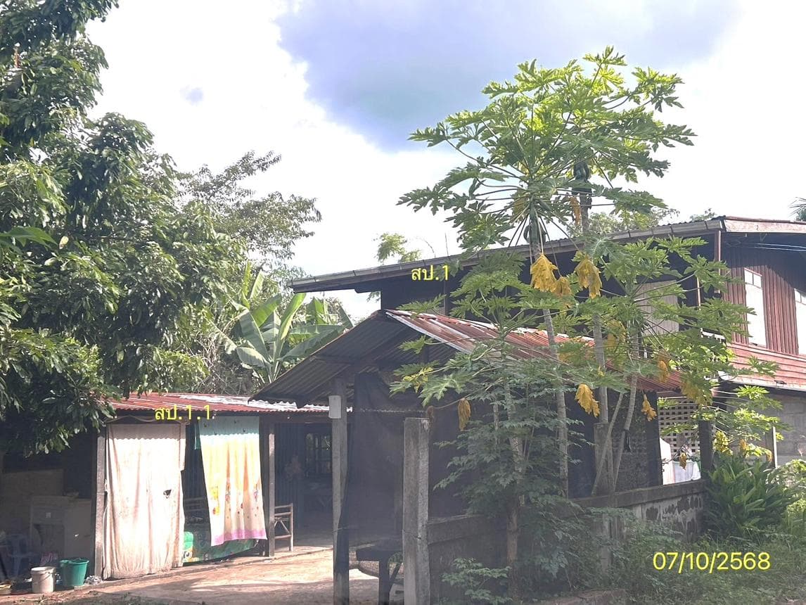 บ้านเดี่ยว ผือใหญ่ โพธิ์ศรีสุวรรณ ศรีสะเกษ 1 ห้องนอน พื้นที่ใช้สอย 142 ตร.ม. บนที่ดิน 8 ตร.ว. ทำเลสงบ เดินทางสะดวก ราคาคุ้มค่าเพียง 1.01 ล้าน