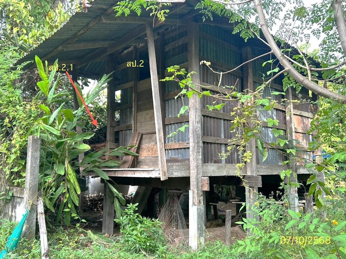 บ้านเดี่ยว ผือใหญ่ โพธิ์ศรีสุวรรณ ศรีสะเกษ 1 ห้องนอน พื้นที่ใช้สอย 142 ตร.ม. บนที่ดิน 8 ตร.ว. ทำเลสงบ เดินทางสะดวก ราคาคุ้มค่าเพียง 1.01 ล้าน