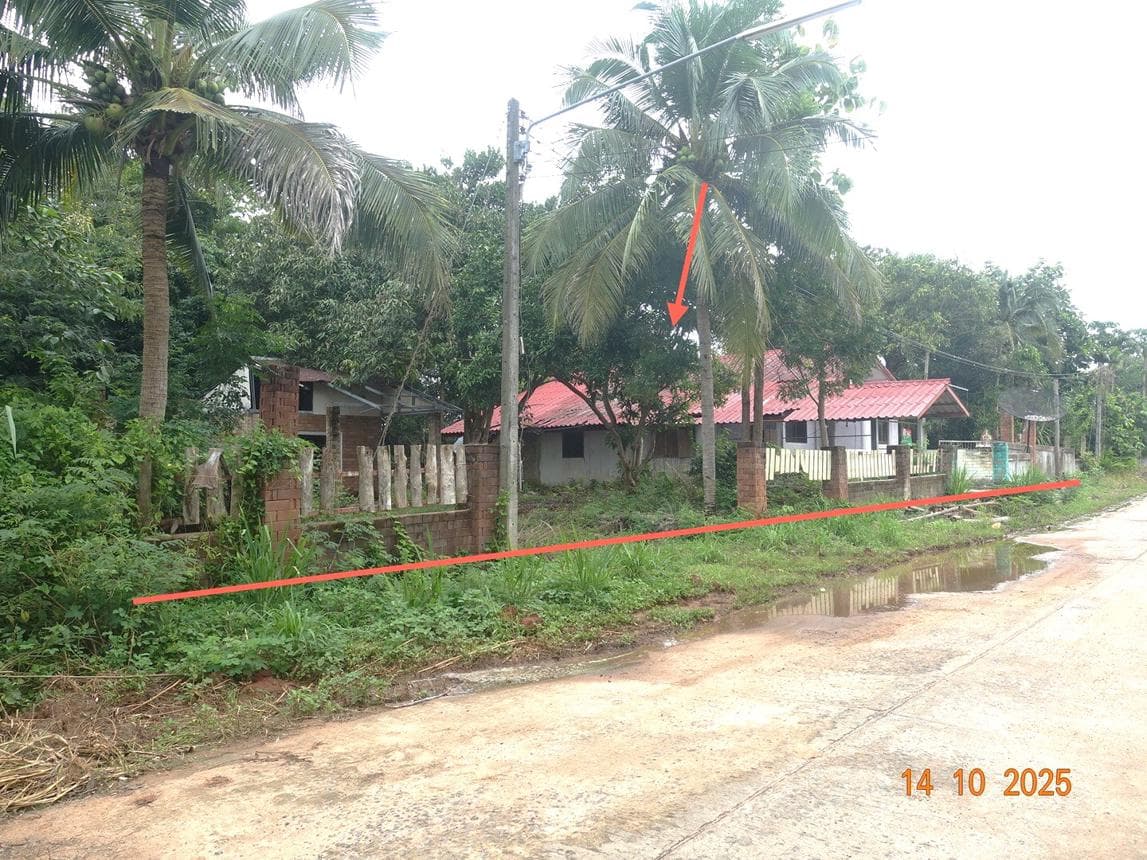 ขายบ้านเดี่ยว 4 ห้องนอน พื้นที่ใช้สอยกว้าง 222.5 ตร.ม. ทำเลสงบ ปราสาท บ้านกรวด บุรีรัมย์