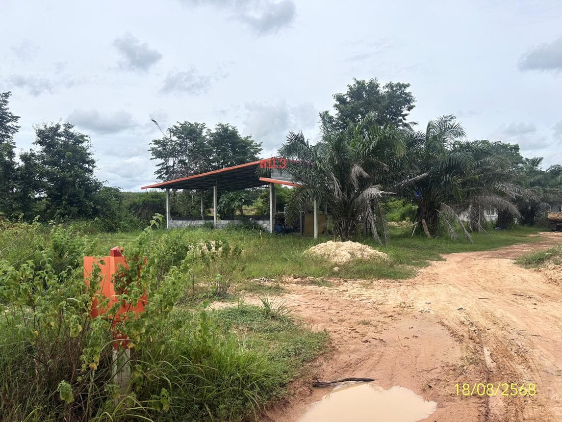 บ้านเดี่ยว บางทรายน้อย หว้านใหญ่ มุกดาหาร 1 ห้องนอน 1 ห้องน้ำ พื้นที่กว้าง 87 ตร.ว. สเปซส่วนตัวในราคาล้านกลางๆ