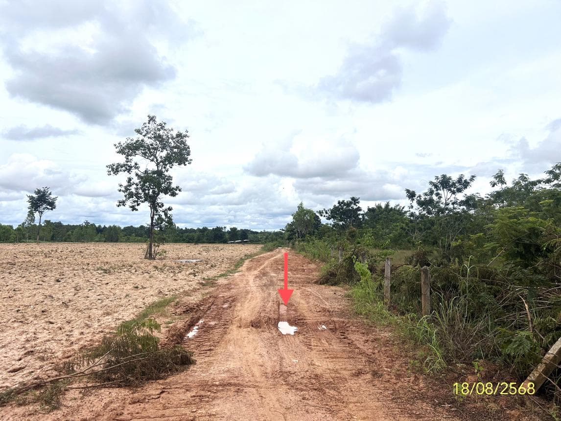 บ้านเดี่ยว บางทรายน้อย หว้านใหญ่ มุกดาหาร 1 ห้องนอน 1 ห้องน้ำ พื้นที่กว้าง 87 ตร.ว. สเปซส่วนตัวในราคาล้านกลางๆ