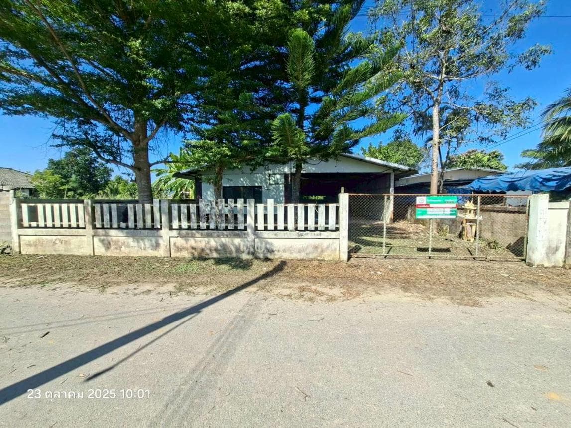 ขายบ้านเดี่ยว ป่าซาง แม่จัน เชียงราย พื้นที่กว้าง 225.5 ตร.ม. ทำเลสงบ บรรยากาศธรรมชาติ