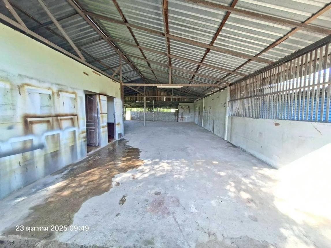 ขายบ้านเดี่ยว ป่าซาง แม่จัน เชียงราย พื้นที่กว้าง 225.5 ตร.ม. ทำเลสงบ บรรยากาศธรรมชาติ